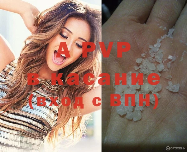 стаф Покачи